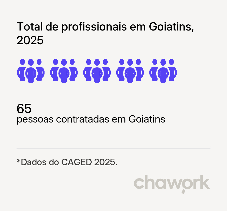 Total de profissionais contratados em Goiatins, TO