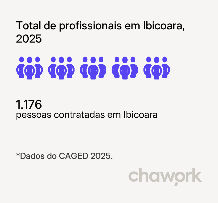 Total de profissionais contratados em Ibicoara, BA