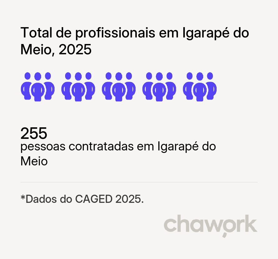 Total de profissionais contratados em Igarapé do Meio, MA