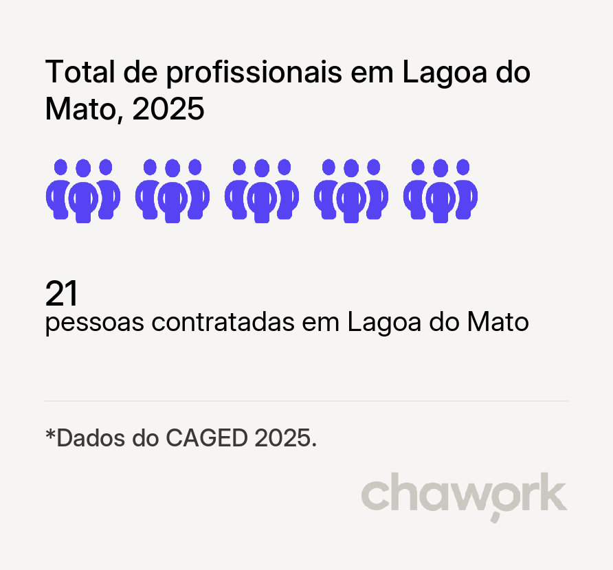 Total de profissionais contratados em Lagoa do Mato, MA