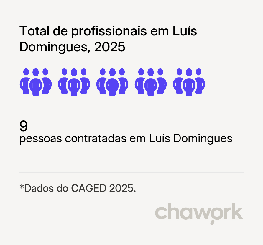 Total de profissionais contratados em Luís Domingues, MA