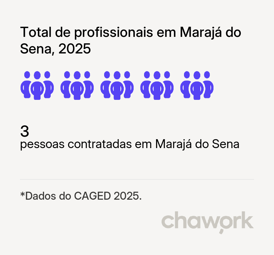 Total de profissionais contratados em Marajá do Sena, MA