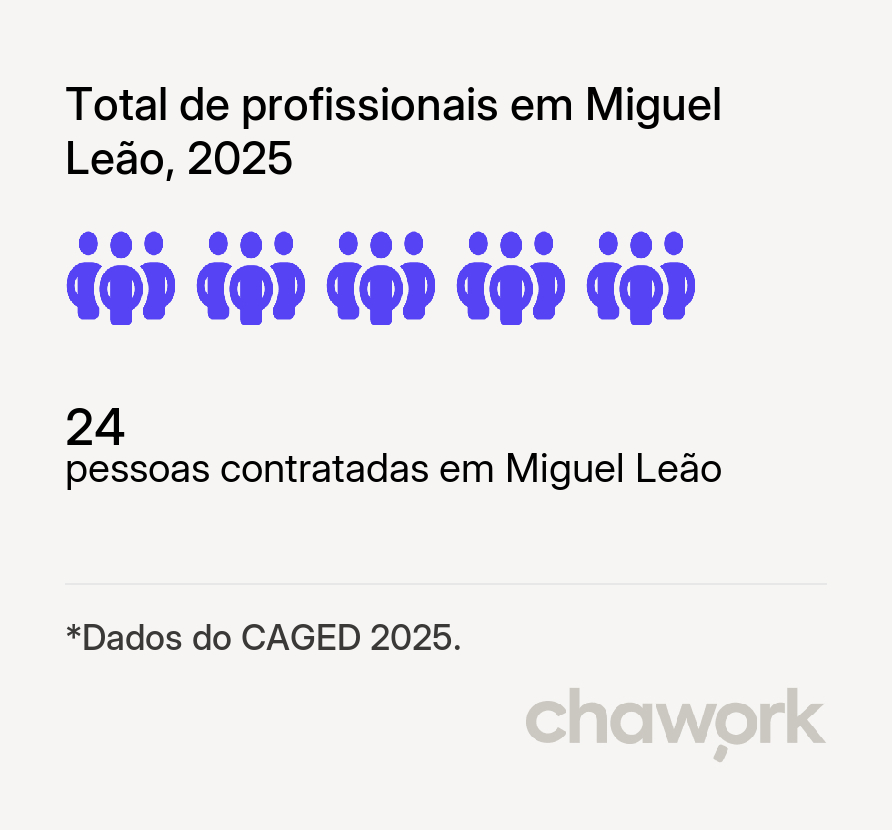 Total de profissionais contratados em Miguel Leão, PI