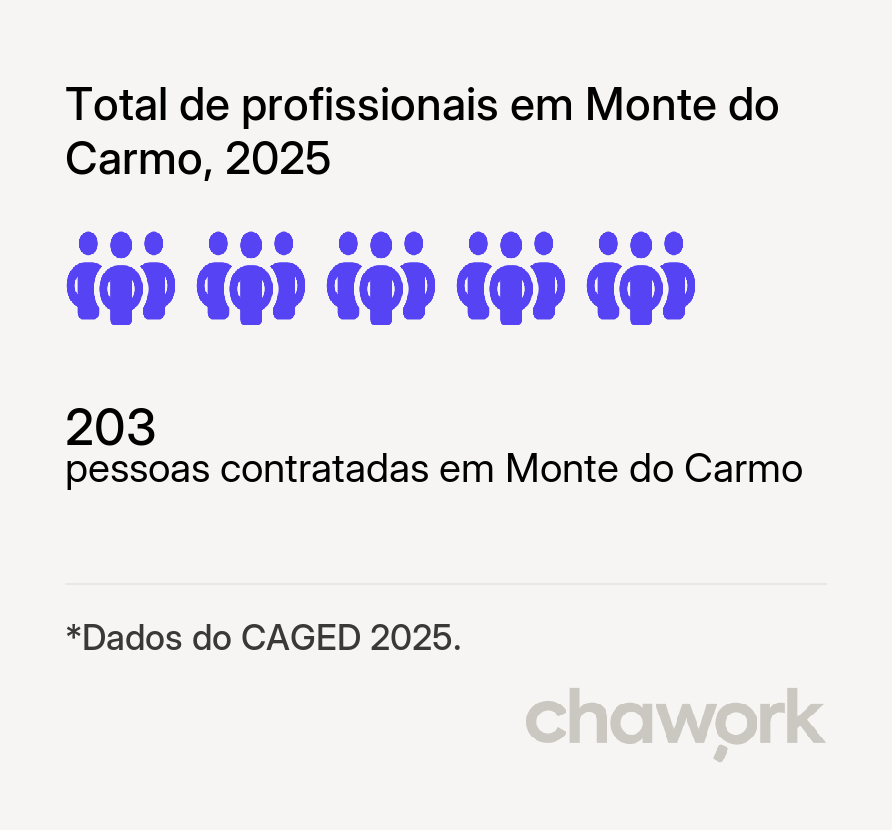 Total de profissionais contratados em Monte do Carmo, TO