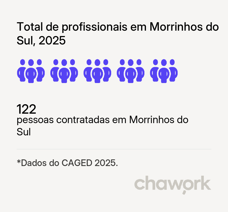 Total de profissionais contratados em Morrinhos do Sul, RS
