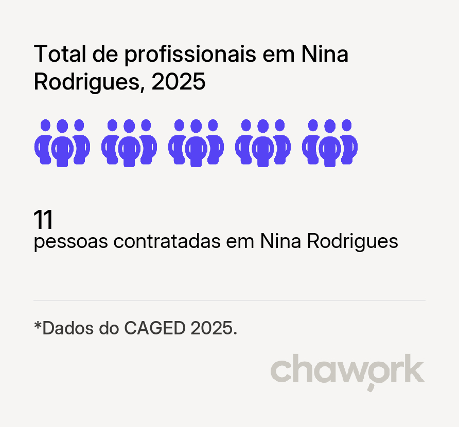 Total de profissionais contratados em Nina Rodrigues, MA