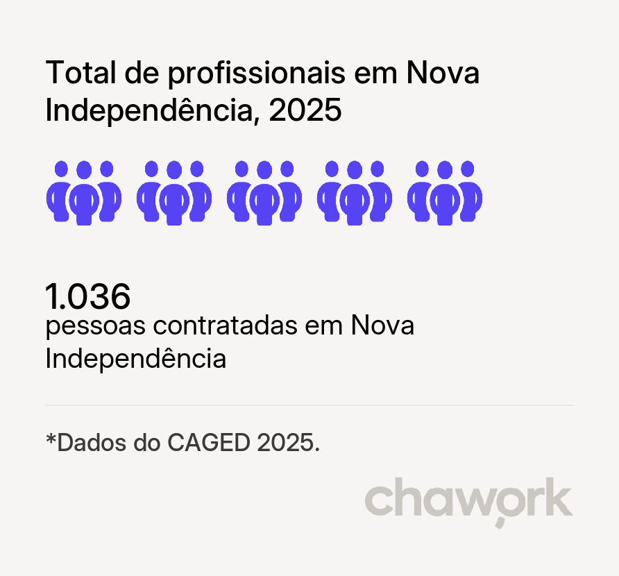 Total de profissionais contratados em Nova Independência, SP