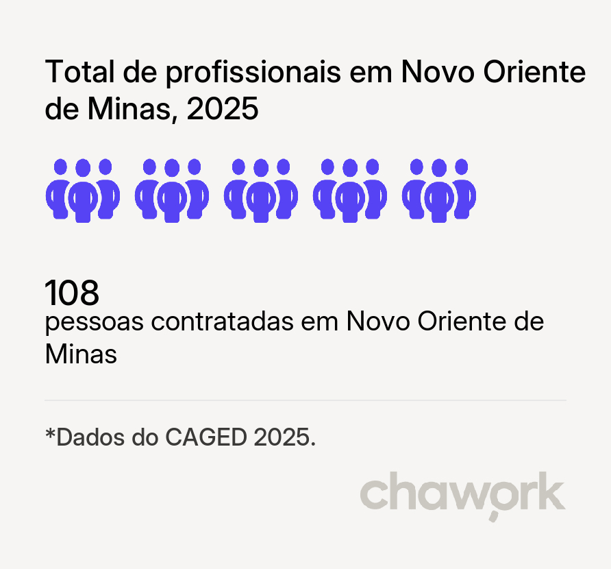 Total de profissionais contratados em Novo Oriente de Minas, MG