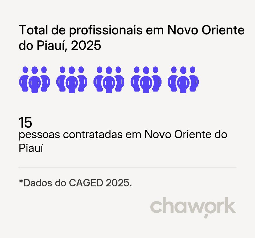 Total de profissionais contratados em Novo Oriente do Piauí, PI