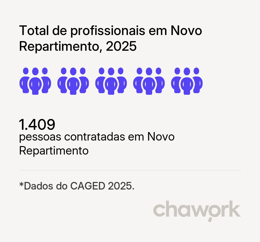 Total de profissionais contratados em Novo Repartimento, PA