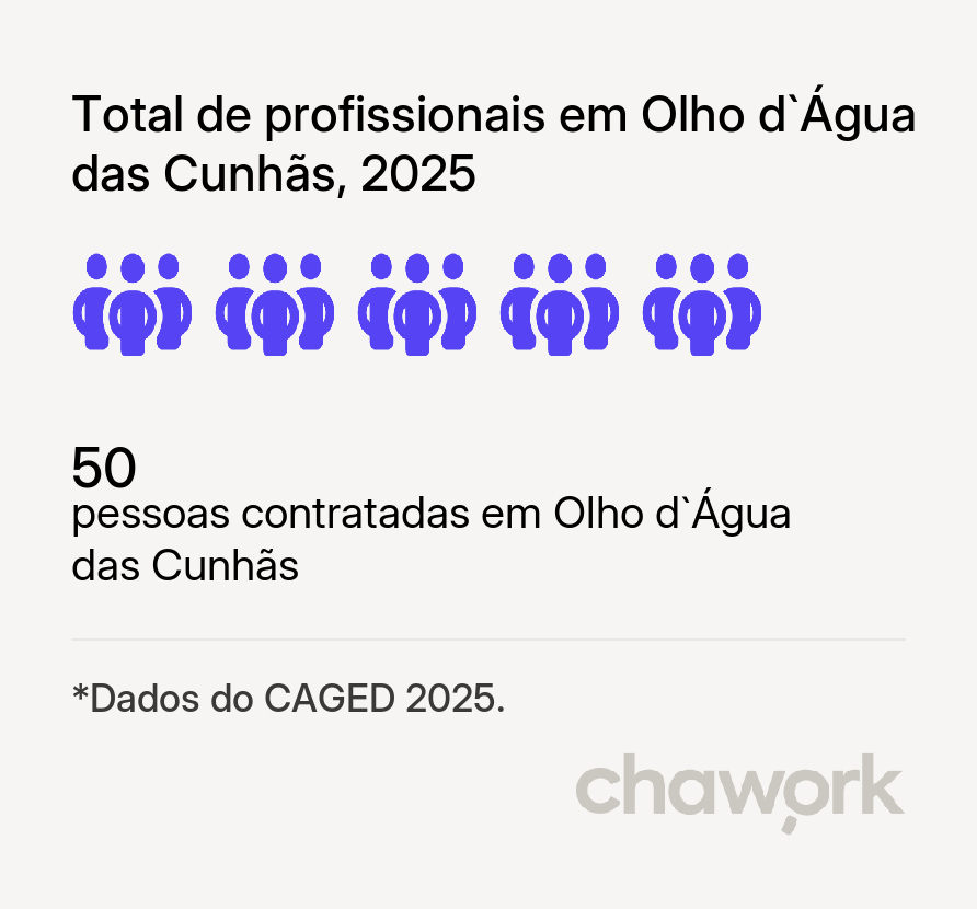 Total de profissionais contratados em Olho d`Água das Cunhãs, MA