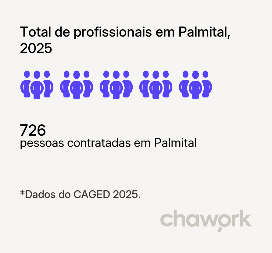 Total de profissionais contratados em Palmital, SP