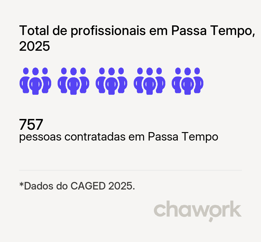 Total de profissionais contratados em Passa Tempo, MG