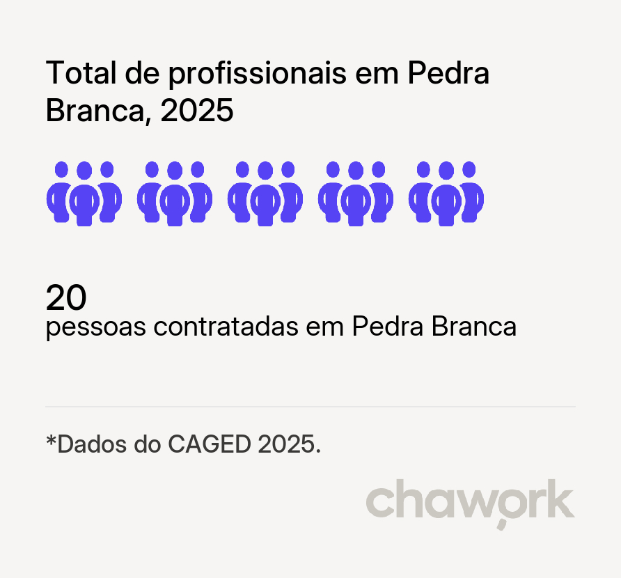 Total de profissionais contratados em Pedra Branca, CE
