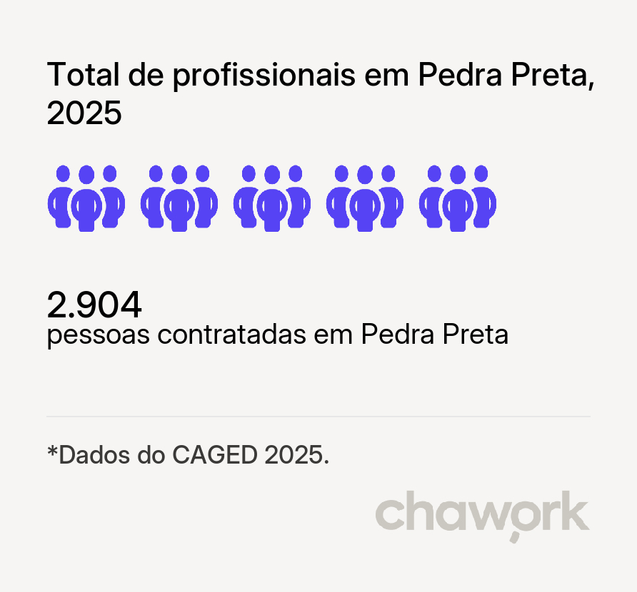 Total de profissionais contratados em Pedra Preta, RN