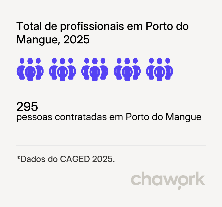 Total de profissionais contratados em Porto do Mangue, RN