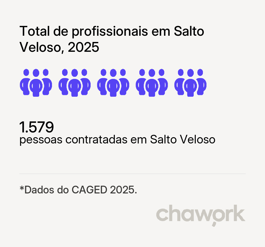 Total de profissionais contratados em Salto Veloso, SC