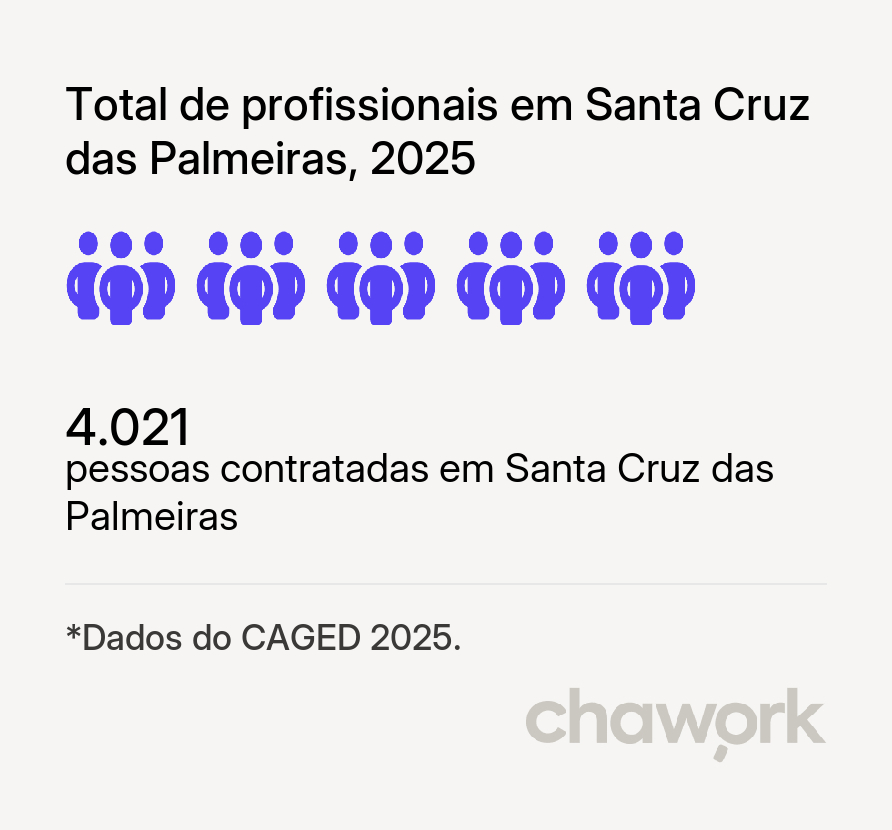 Total de profissionais contratados em Santa Cruz das Palmeiras, SP