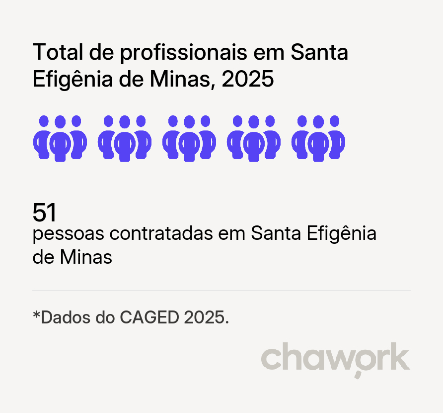 Total de profissionais contratados em Santa Efigênia de Minas, MG
