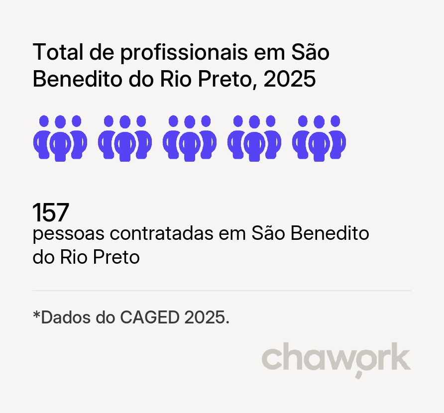 Total de profissionais contratados em São Benedito do Rio Preto, MA