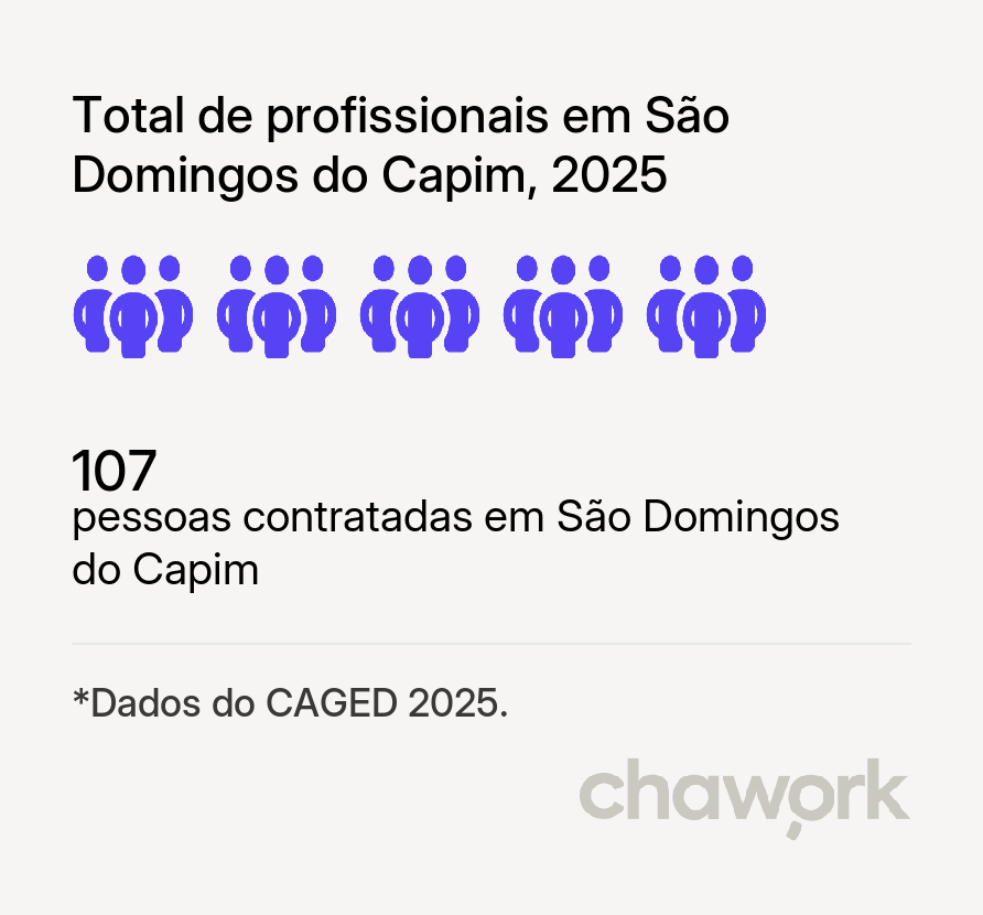 Total de profissionais contratados em São Domingos do Capim, PA