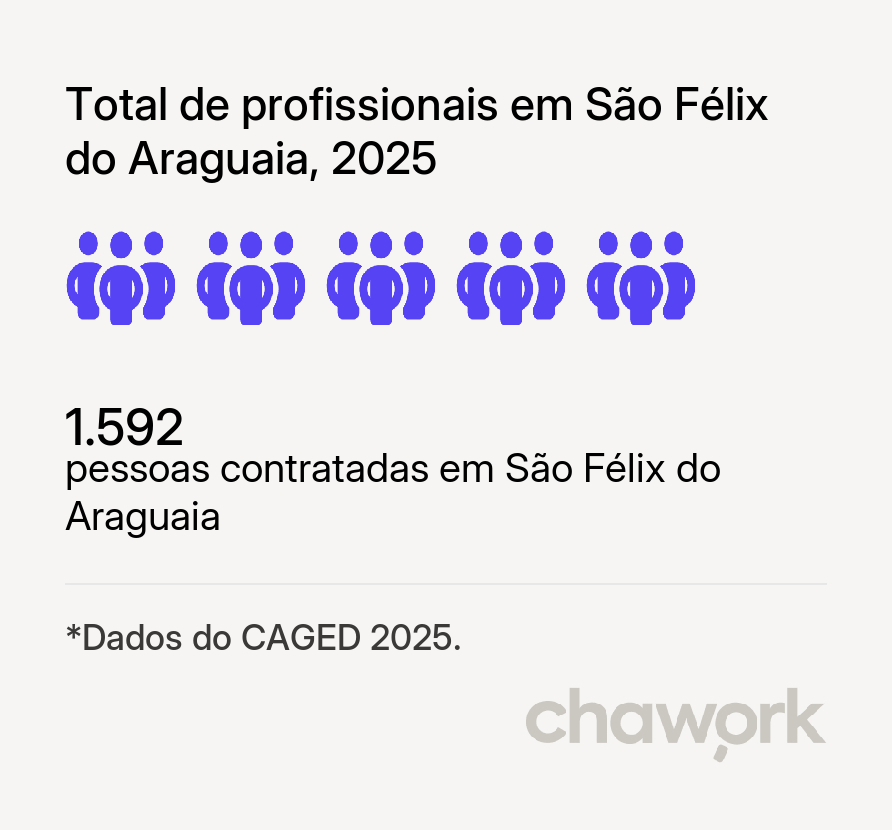 Total de profissionais contratados em São Félix do Araguaia, MT