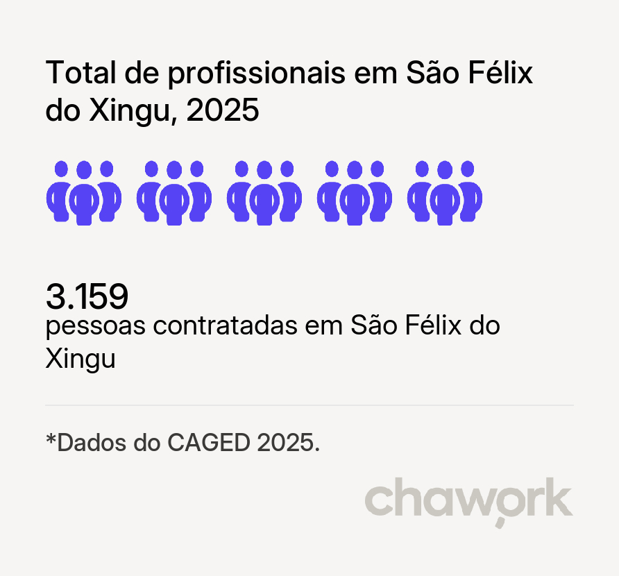 Total de profissionais contratados em São Félix do Xingu, PA
