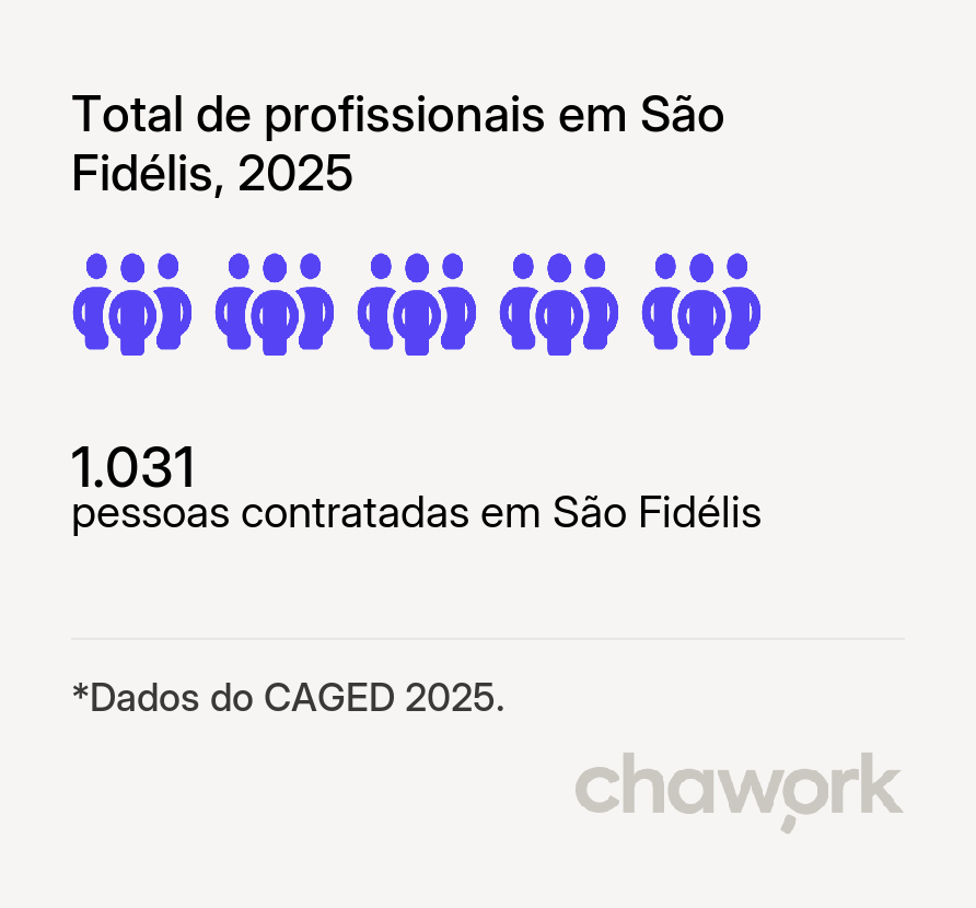 Total de profissionais contratados em São Fidélis, RJ