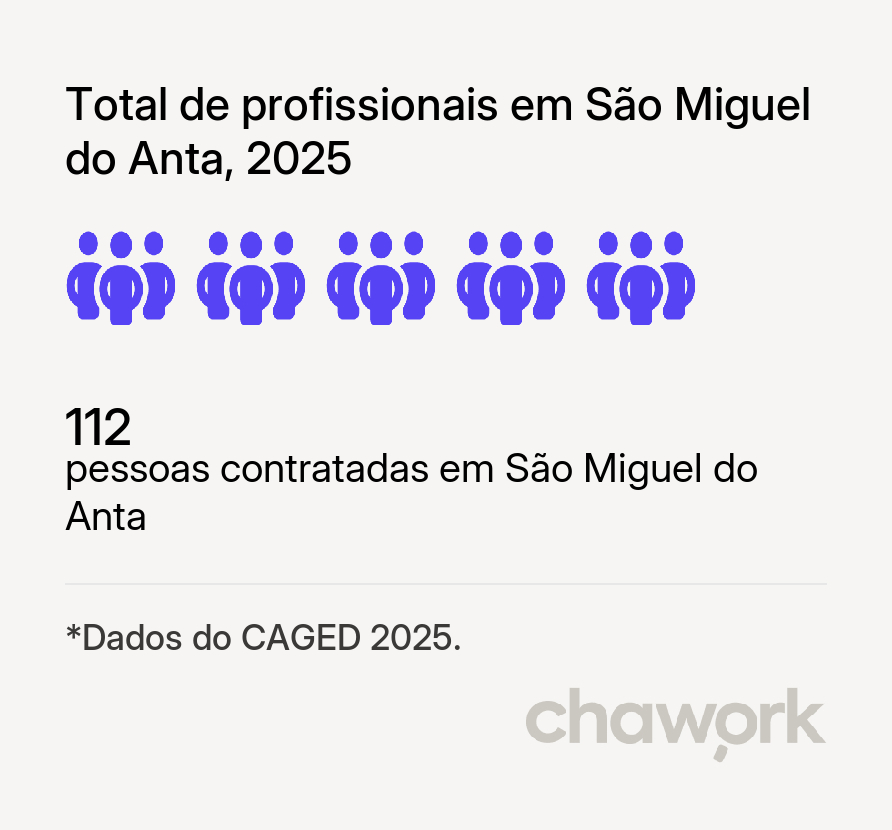 Total de profissionais contratados em São Miguel do Anta, MG