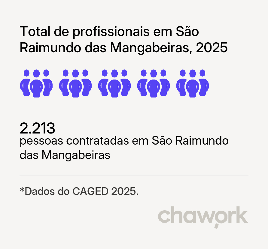 Total de profissionais contratados em São Raimundo das Mangabeiras, MA