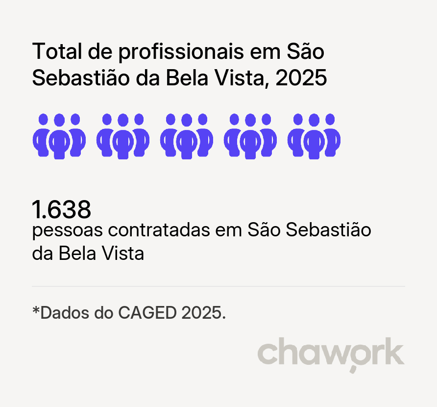 Total de profissionais contratados em São Sebastião da Bela Vista, MG