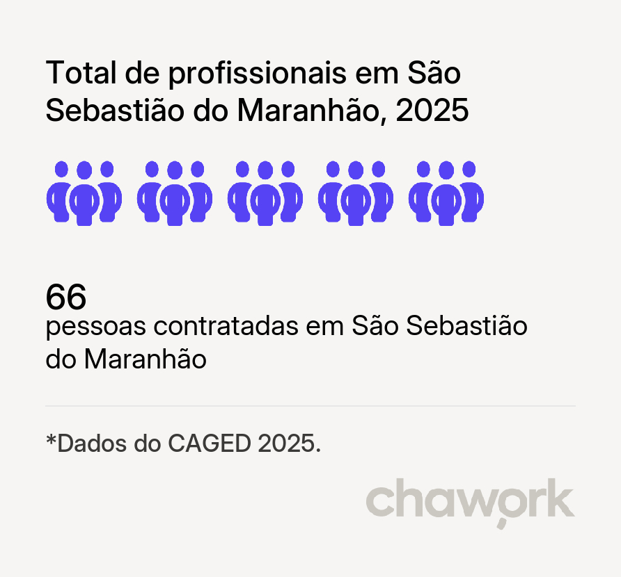 Total de profissionais contratados em São Sebastião do Maranhão, MG