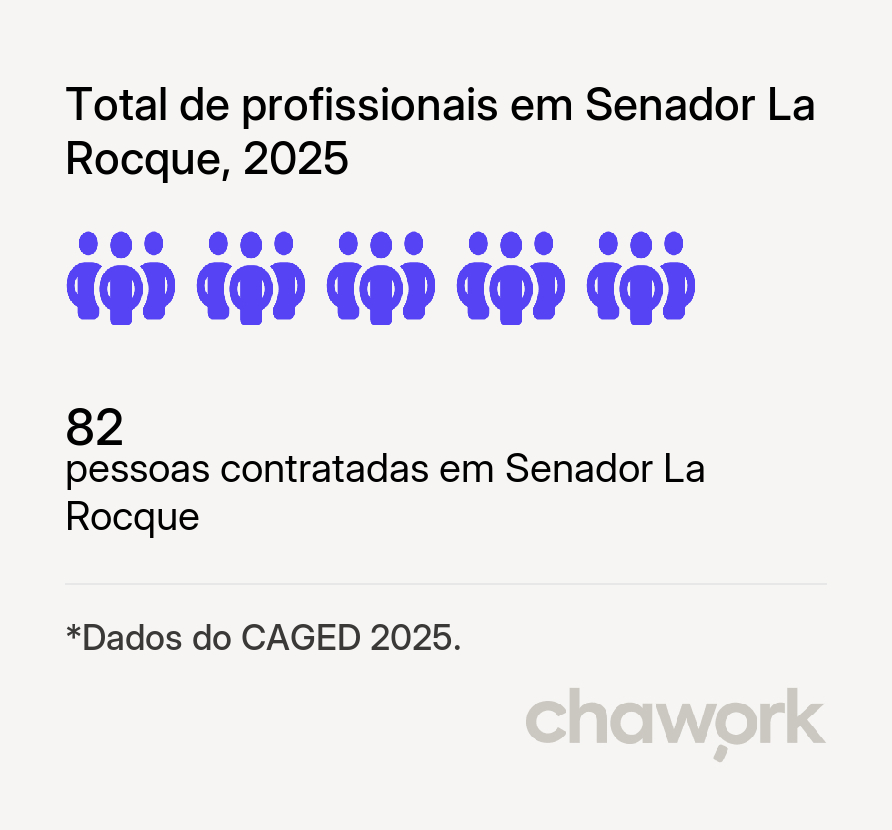 Total de profissionais contratados em Senador La Rocque, MA