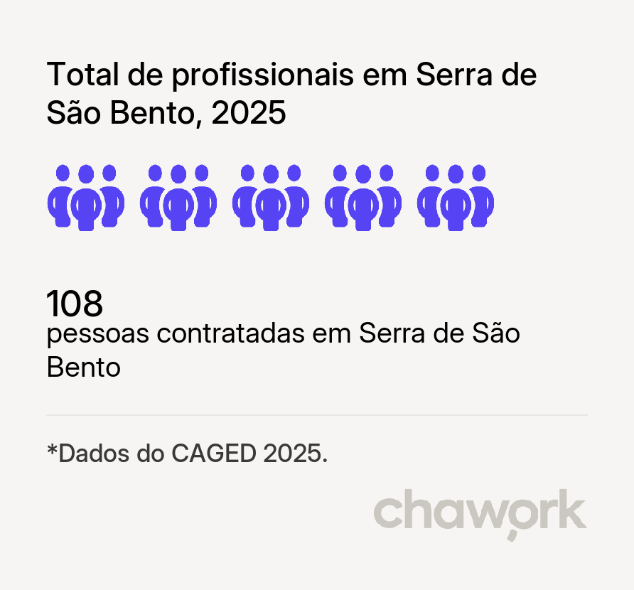 Total de profissionais contratados em Serra de São Bento, RN