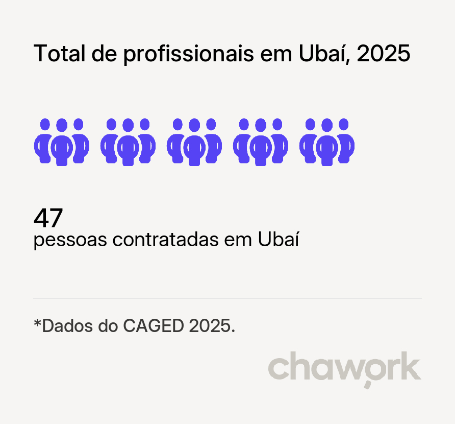 Total de profissionais contratados em Ubaí, MG