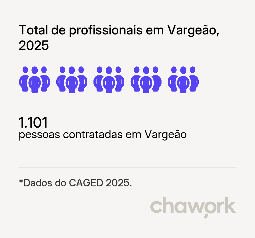 Total de profissionais contratados em Vargeão, SC