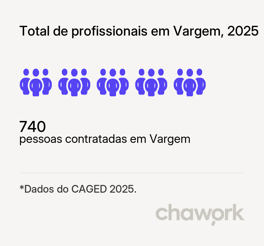 Total de profissionais contratados em Vargem, SC