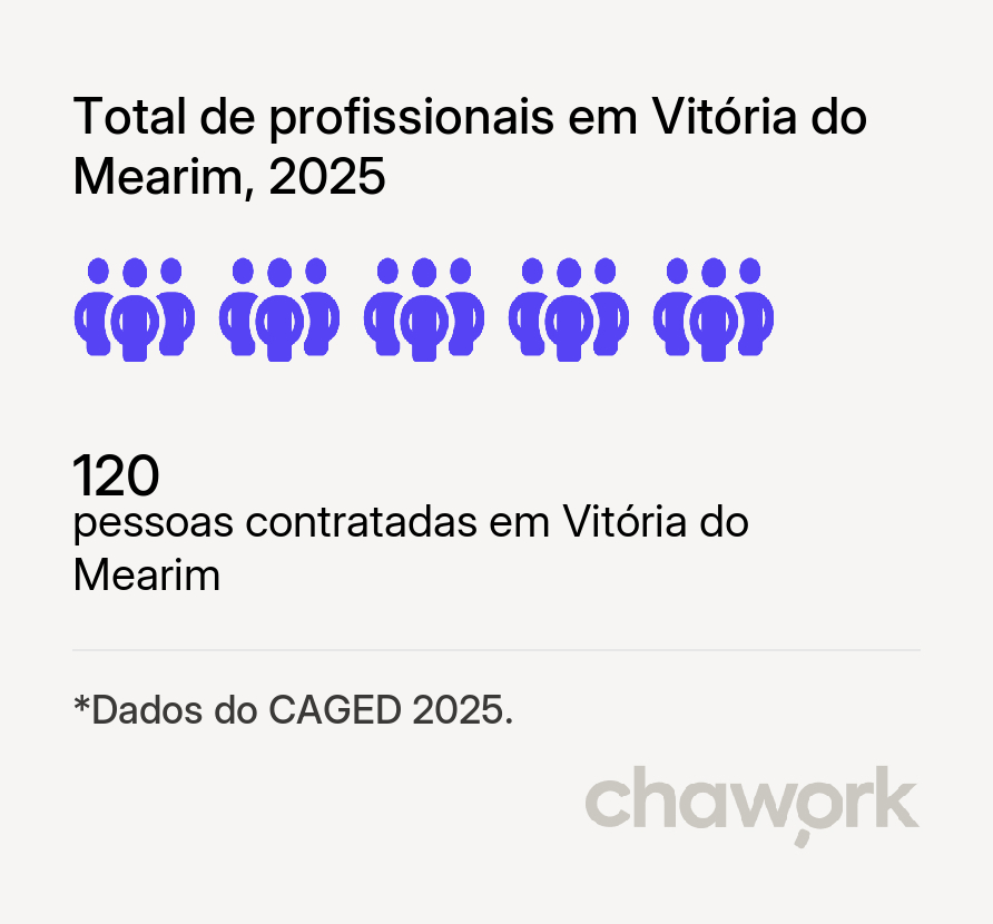 Total de profissionais contratados em Vitória do Mearim, MA